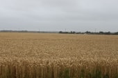 de Richeville à Ste Marie de V.